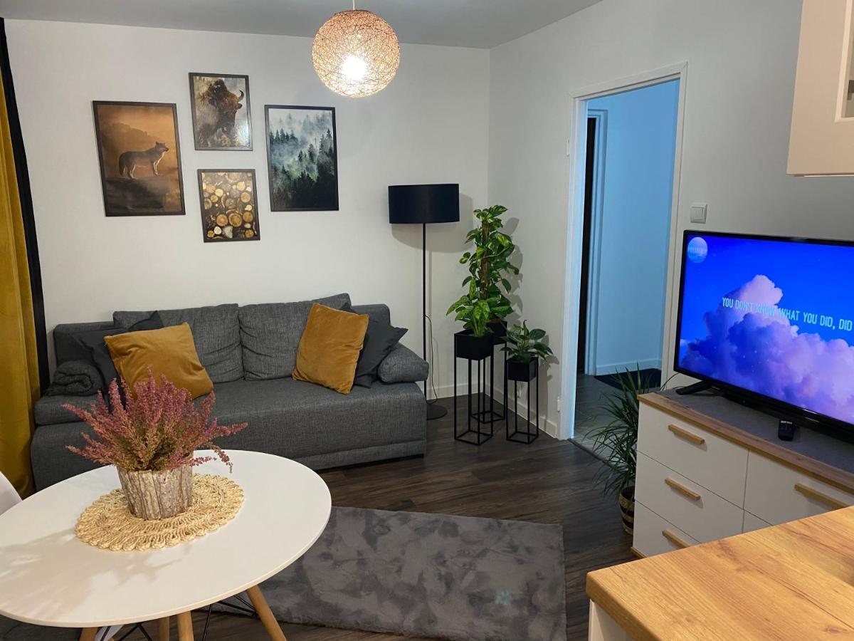 Apartment Wilcza Ostoja Bieszczady Ustrzyki Dolne